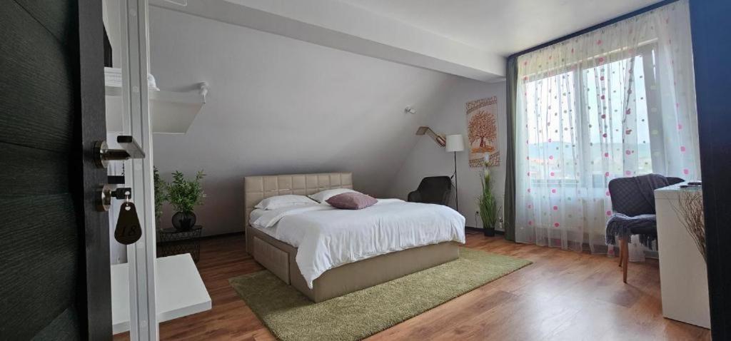 קורטאה דה ארגס Pensiunea Relax מראה חיצוני תמונה