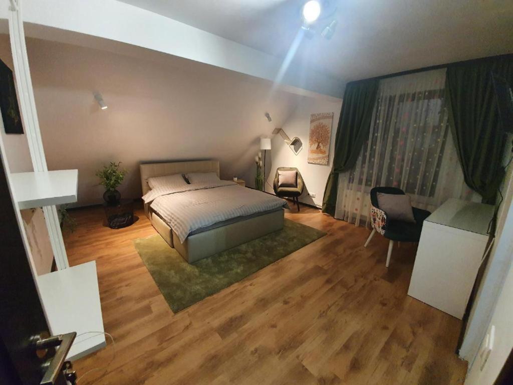 קורטאה דה ארגס Pensiunea Relax מראה חיצוני תמונה